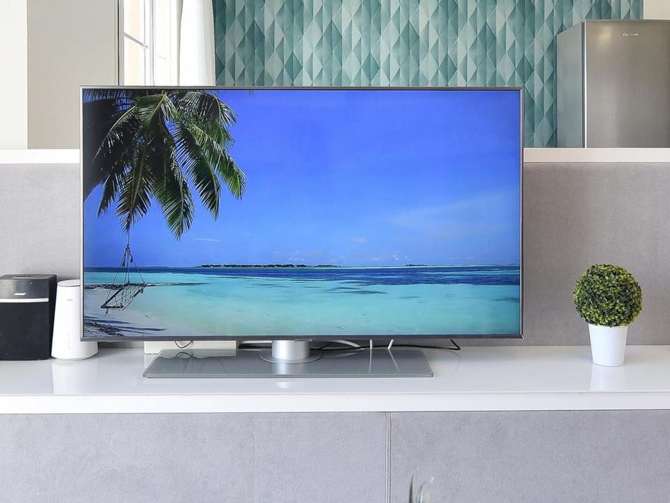 Plant, Property, Furniture, Table, Green, Azure, Rectangle, Houseplant, Lighting