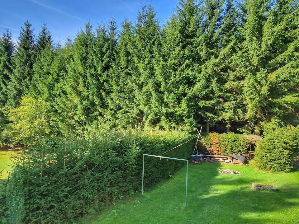 Plant, Plant Community, Natural Landscape, Larch, Land Lot, Evergreen, Sky, Tree, Woody Plant, Grass