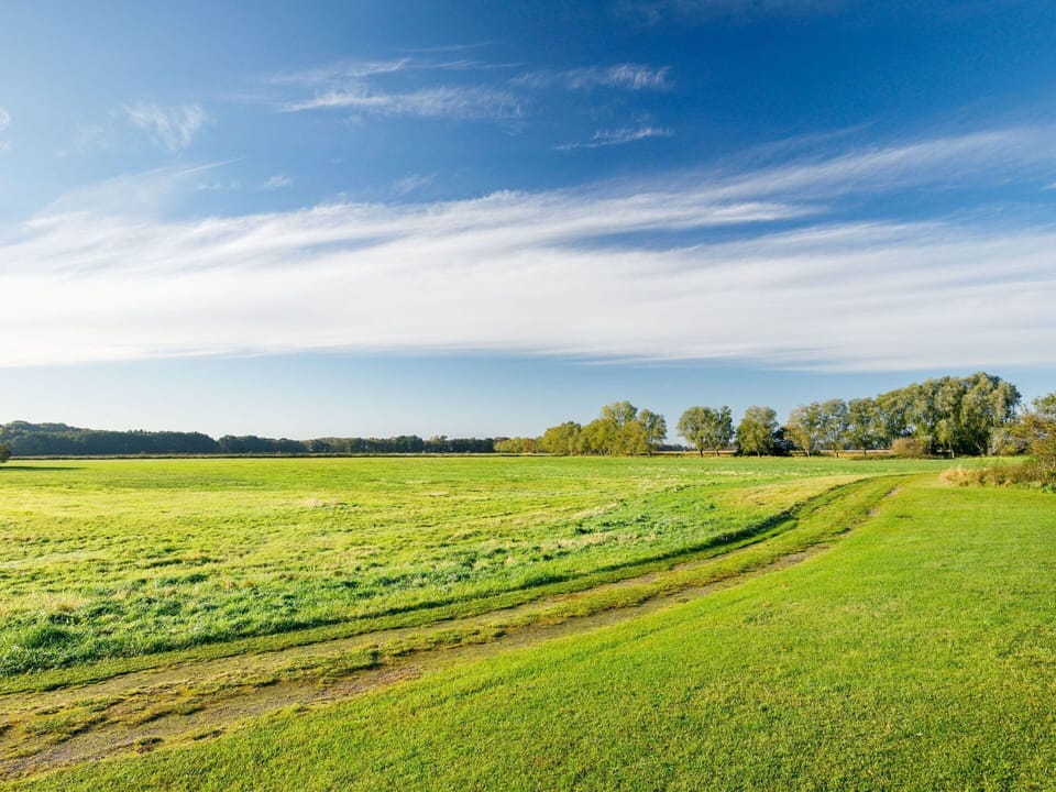 Cloud, Sky, Plant, Natural Landscape, Tree, Land Lot, Grass, Plain, Landscape, Grassland
