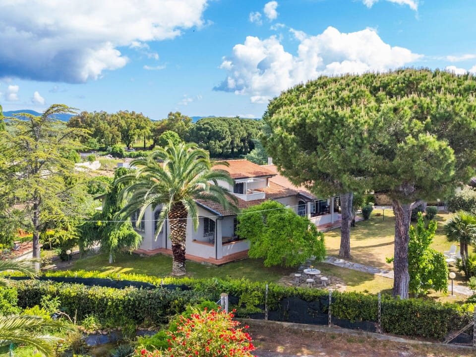 Shrub, Residential Area, Home, Garden, Estate, Shade, Lawn, Hacienda, Landscaping, Suburb