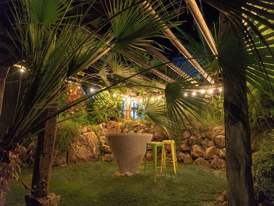 Plant, Plant Community, Chair, Flowerpot, Botany, Tree, Arecales, Terrestrial Plant, Landscape, Leisure