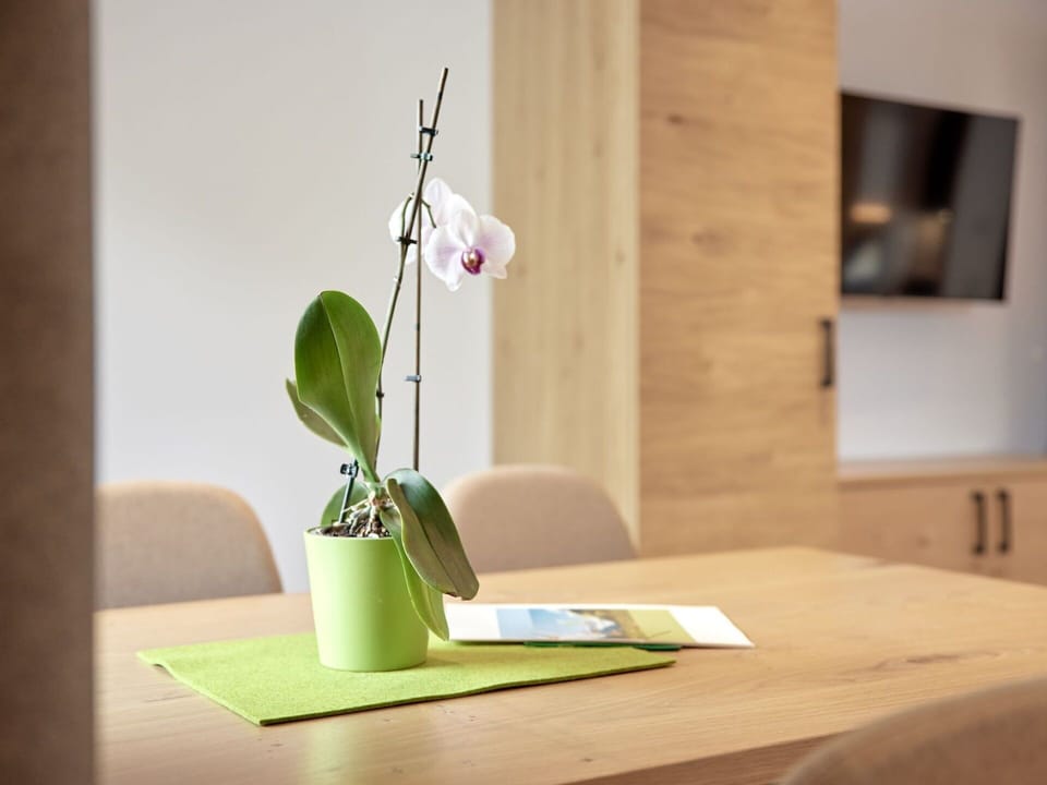 Plant, Table, Houseplant, Wood, Terrestrial Plant, Twig, Petal, Audio Equipment, Flooring, Rectangle
