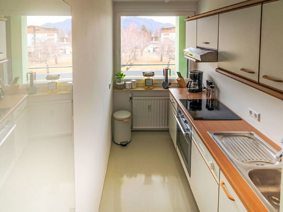 Kitchen, Countertop, Kitchen Appliance, Kitchen Sink, Major Appliance, Sink, Wood, Interior Design, Plumbing Fixture, Cabinetry