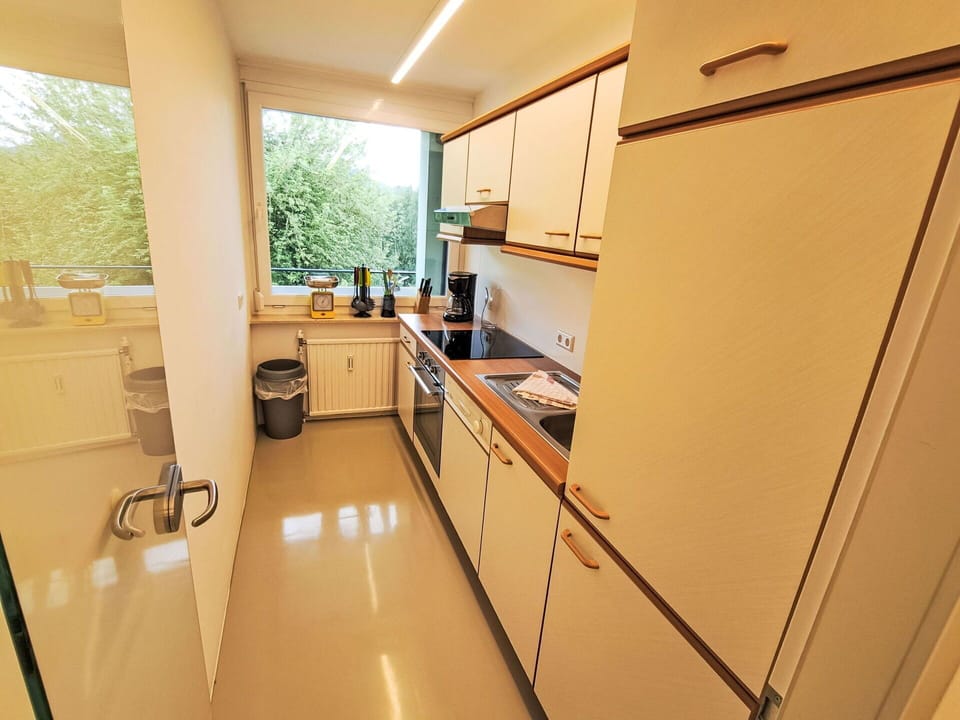 Kitchen, Countertop, Wood, Flooring, Interior Design, Cabinetry, Kitchen Appliance, Floor, Kitchen Sink, Major Appliance