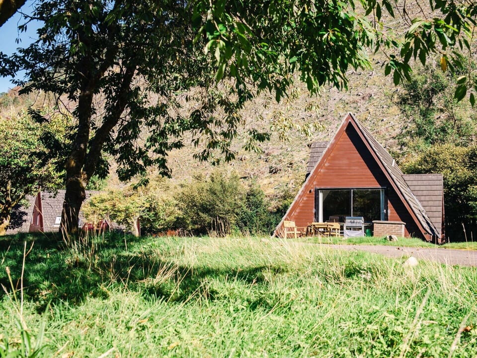 Plant, Building, Tree, Natural Landscape, Wood, Land Lot, House, Grass, Cottage, Grassland