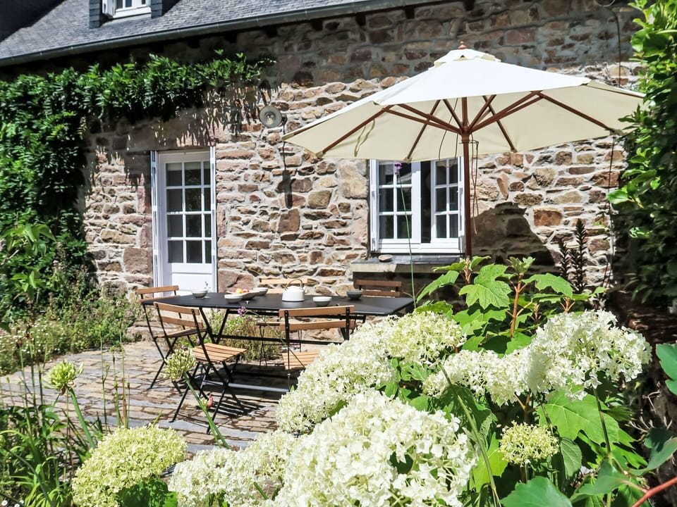 Plant, Flower, Window, Building, Botany, Nature, Vegetation, Cottage, Grass, Table