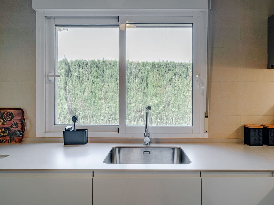 Kitchen Sink, Tap, Property, Sink, Window, Plant, Cabinetry, Countertop, Plumbing Fixture, Building