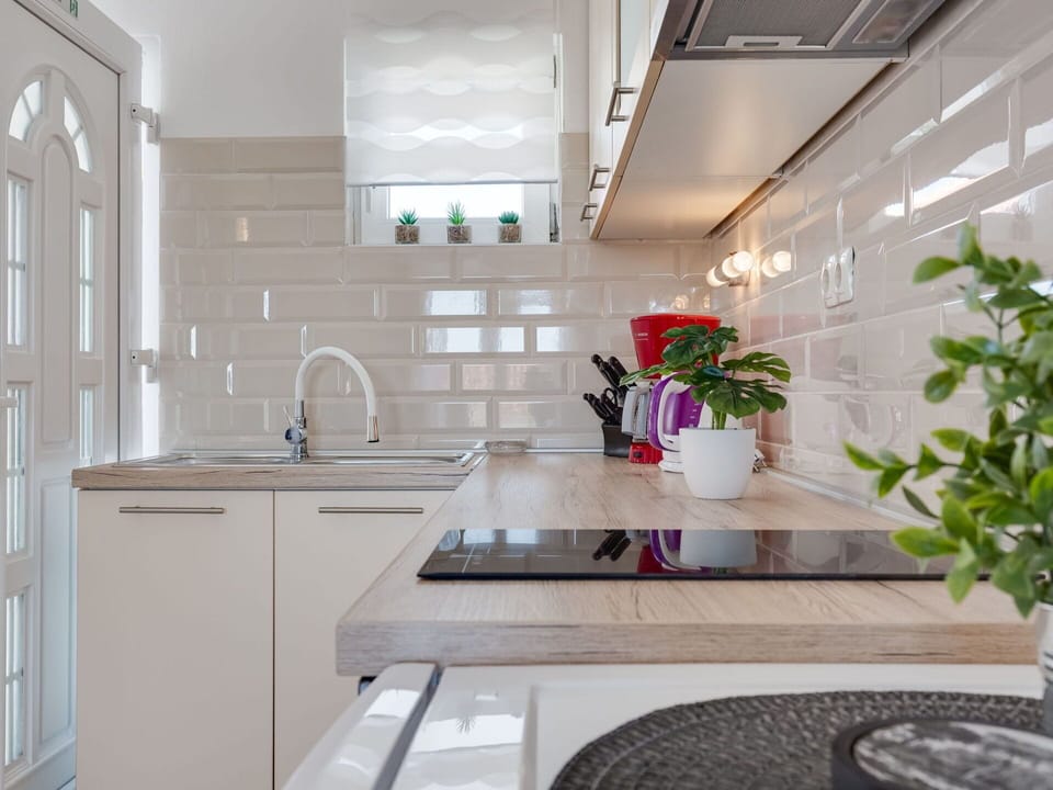 Kitchen Sink, Plant, Tap, Sink, Cabinetry, Property, Countertop, Building, Plumbing Fixture, Houseplant