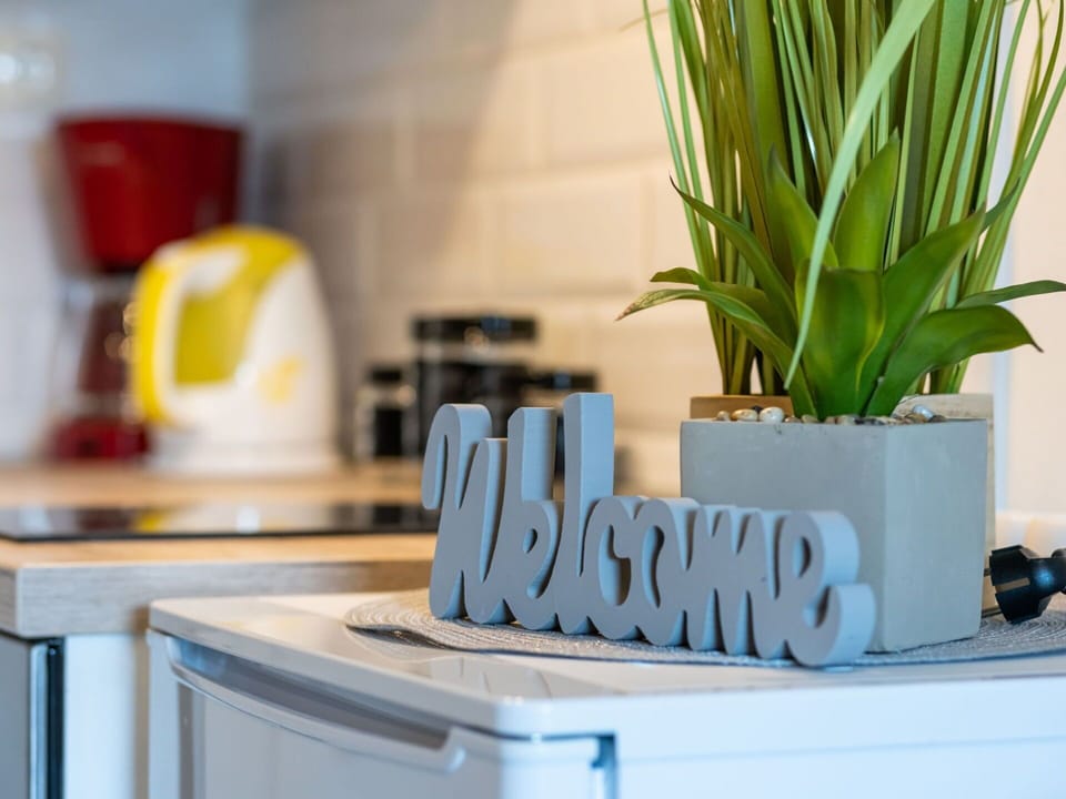 Plant, Interior Design, Houseplant, Wood, Rectangle, Shelving, Kitchen Appliance, Gas, Kitchen, Terrestrial Plant