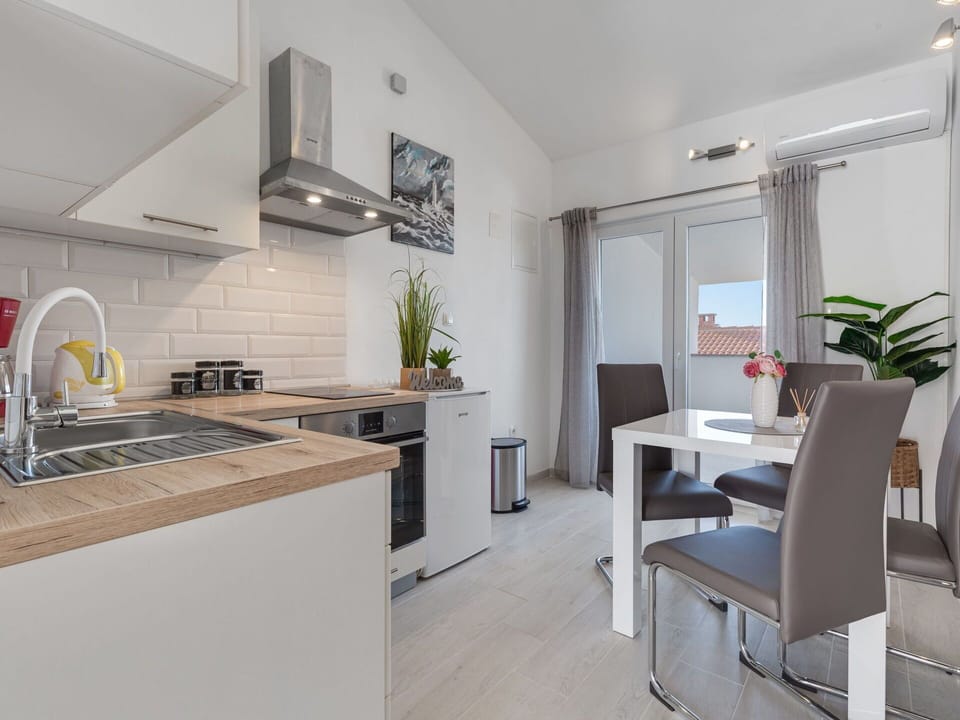 Plant, Property, Kitchen Sink, Cabinetry, Sink, Countertop, Houseplant, Table, Kitchen Appliance, Interior Design