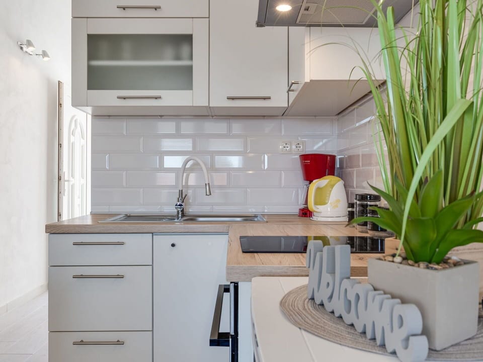 Countertop, Cabinetry, Plant, Property, Sink, Kitchen Sink, Building, Furniture, Tap, Flowerpot