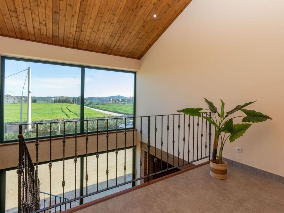 Plant, Building, Property, Sky, Wood, Interior Design, Fence, Shade, Window, Houseplant