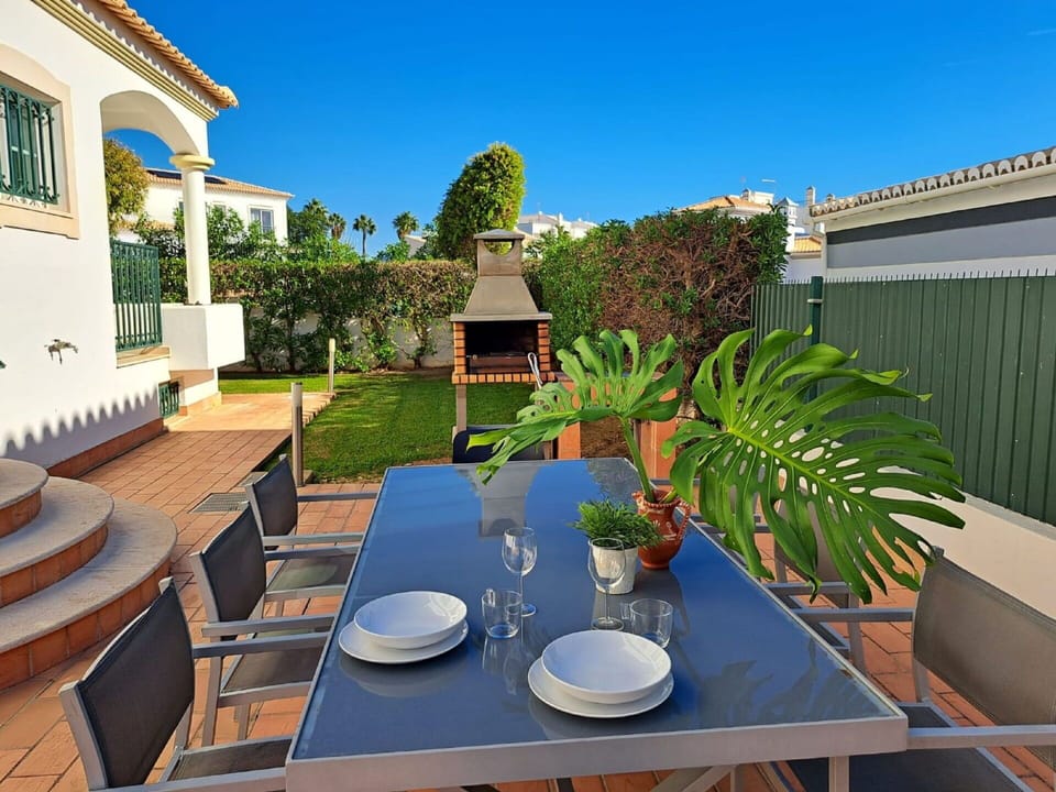 Table, Plant, Property, Furniture, Sky, Blue, Azure, Nature, Flowerpot, Chair
