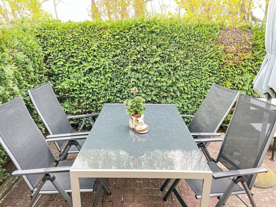 Table, Plant, Furniture, Chair, Green, Outdoor Table, Outdoor Furniture, Botany, Yellow, Grass