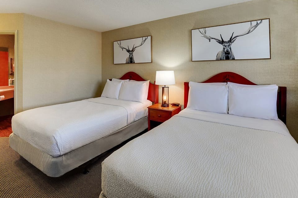Bedroom. Interior and views may vary based on location and availability.