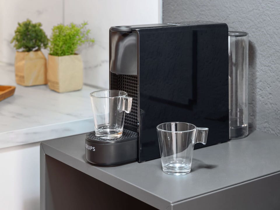 Plant, Drinkware, Product, Flowerpot, Material Property, Houseplant, Gas, Kitchen Appliance