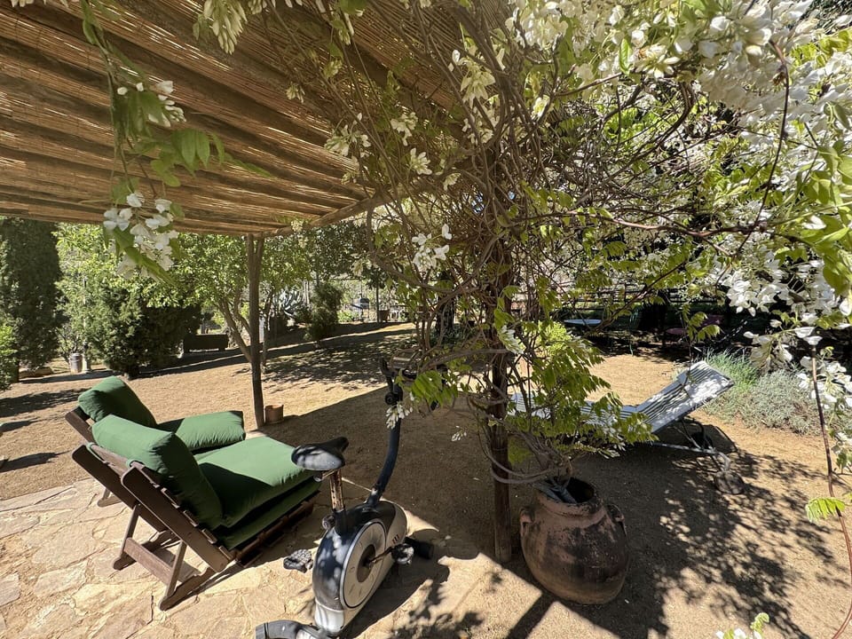 Plant, Shade, Outdoor Furniture, Leisure, Tints And Shades, Grass, Landscape, Sunlounger, Tree, Eco Hotel