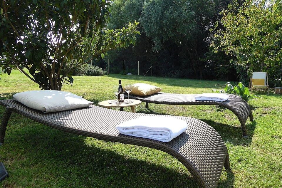Autumn, Garden, Spring, Summer