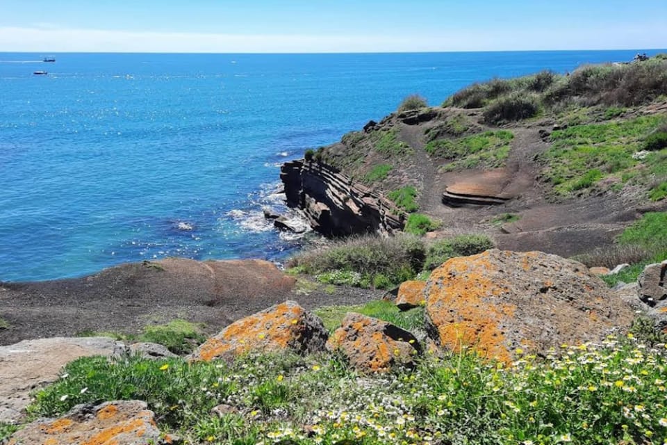 Surroundings [summer] (1-5 km)