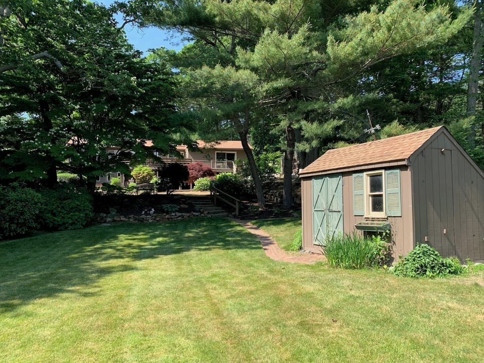 Backyard lawn