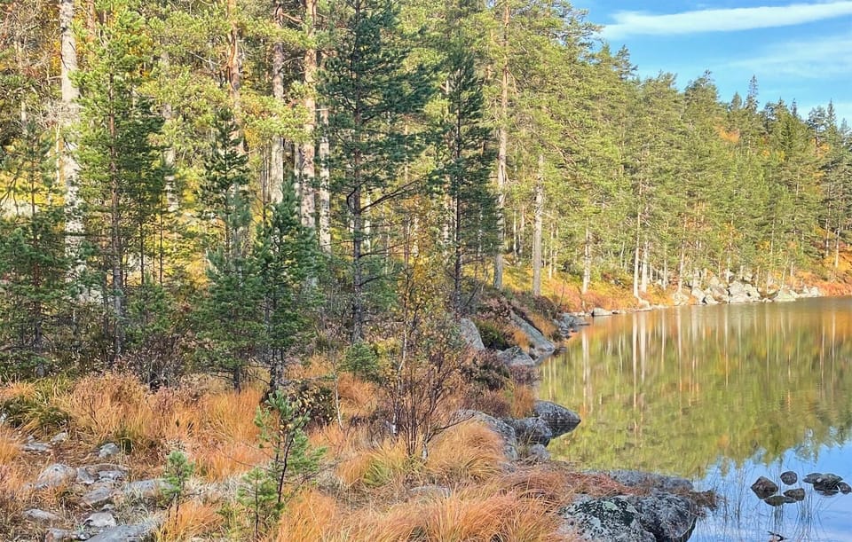 area