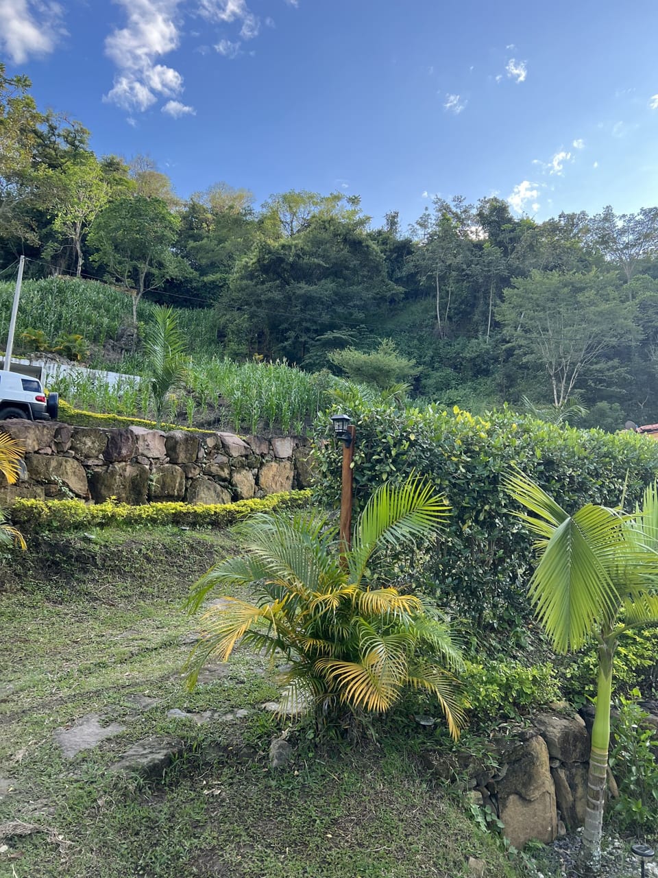 Property grounds