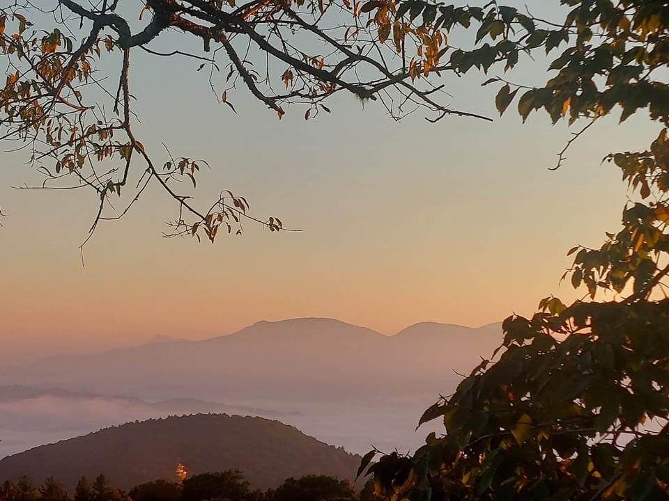 Morning Window View