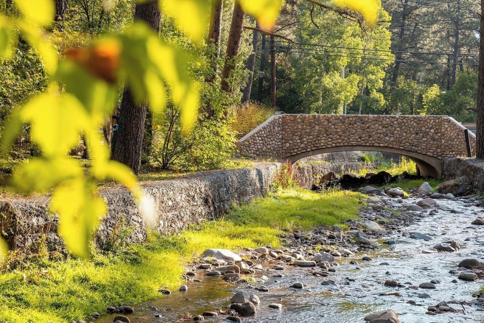  Cross over our charming short stone bridge, a quaint pathway that adds rustic charm and character to your surroundings, inviting you to explore and enjoy the beauty of nature.