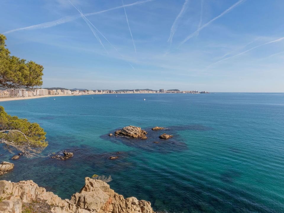 Water, Sky, Cloud, Azure, Coastal And Oceanic Landforms, Tree, Lake, Natural Landscape, Horizon, Landscape