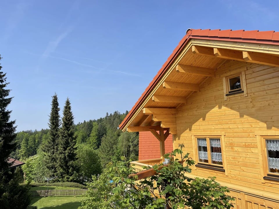 Sky, Building, Plant, Window, Tree, House, Wood, Larch, Cottage, Residential Area