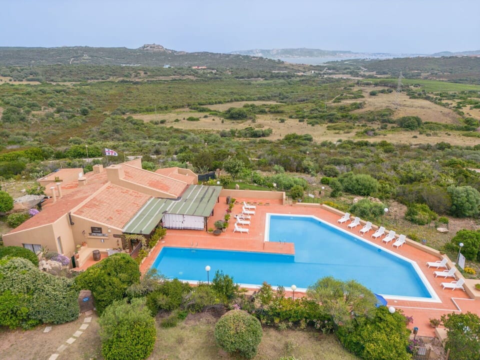 Plant, Property, Water, Sky, Swimming Pool, Tree, Urban Design, Building, Landscape, House