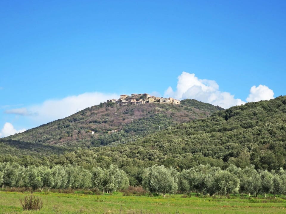 Table, Property, Furniture, Plant, Tableware, Tree, Shade, Chair, Building, Outdoor Furniture