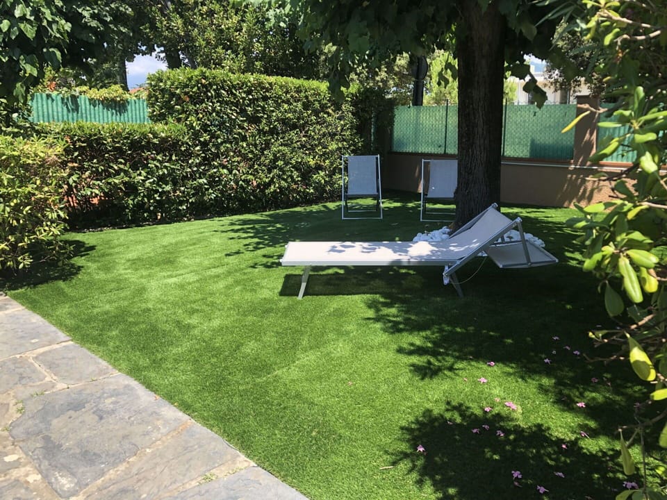 Plant, Property, Plant Community, Tree, Outdoor Furniture, Shade, Land Lot, Grass, Public Space, Shrub