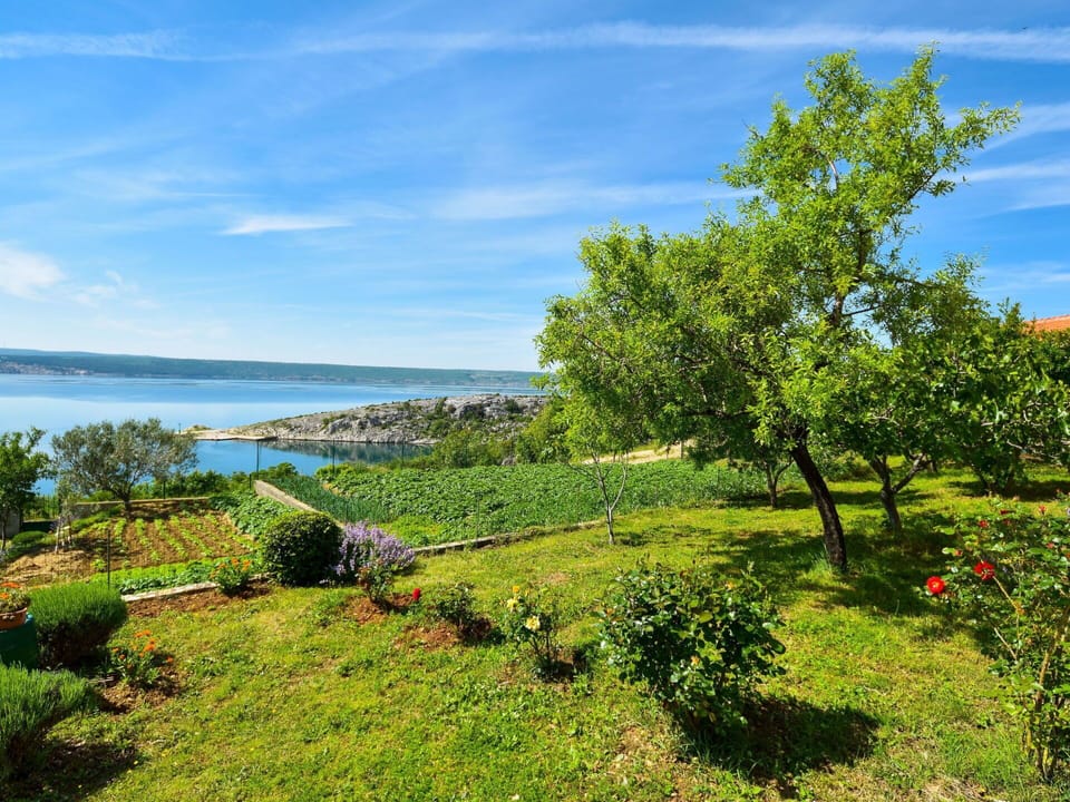 Sky, Plant, Cloud, Water, Ecoregion, Azure, Natural Landscape, Land Lot, Coastal And Oceanic Landforms, Tree