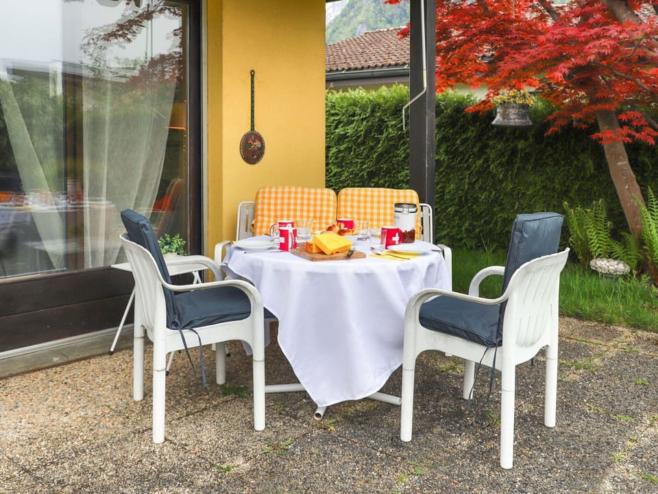 Plant, Furniture, Table, Property, Chair, Leaf, Outdoor Furniture, Decoration, Outdoor Table, Interior Design