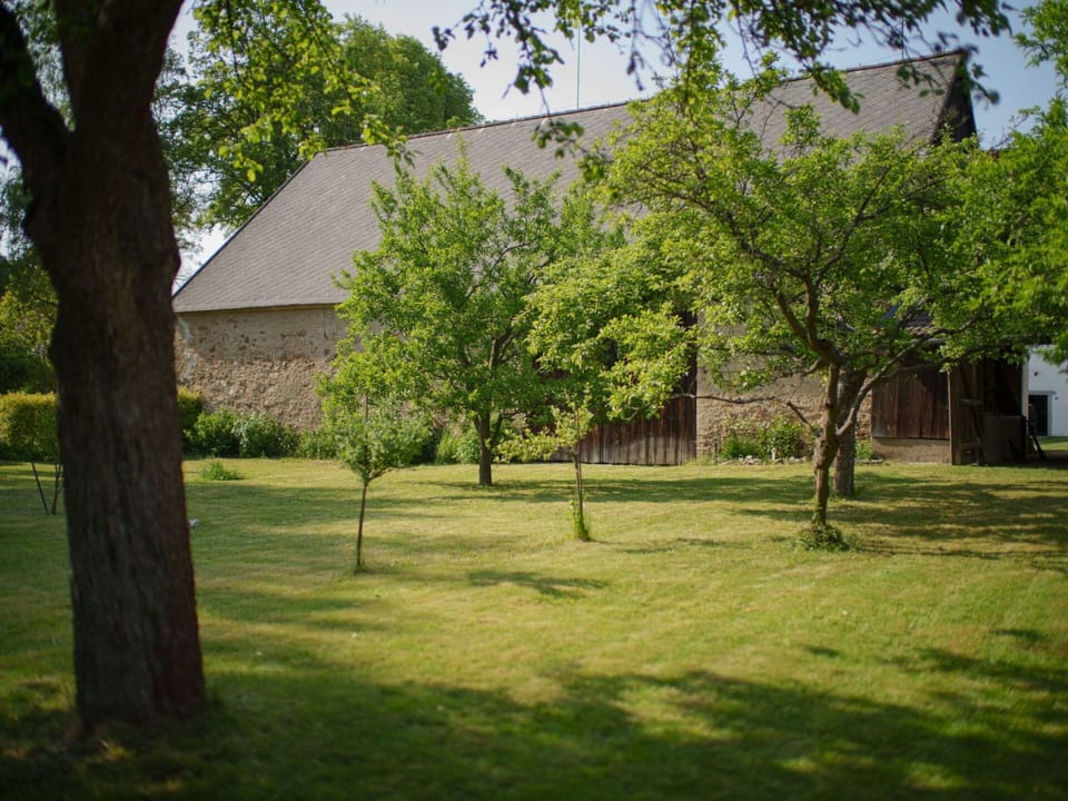 Plant, Building, Sky, Leaf, Shade, Branch, Tree, Land Lot, Cottage, Grass