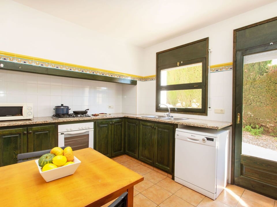 Cabinetry, Countertop, Furniture, Kitchen Sink, Kitchen Appliance, Building, Plant, Kitchen Stove, Kitchen, Home Appliance
