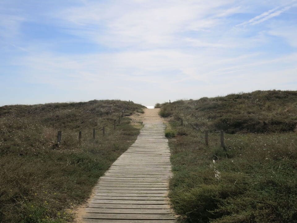Cloud, Sky, Natural Landscape, Wood, Plant, Landscape, Grass, Horizon, Road, Grassland