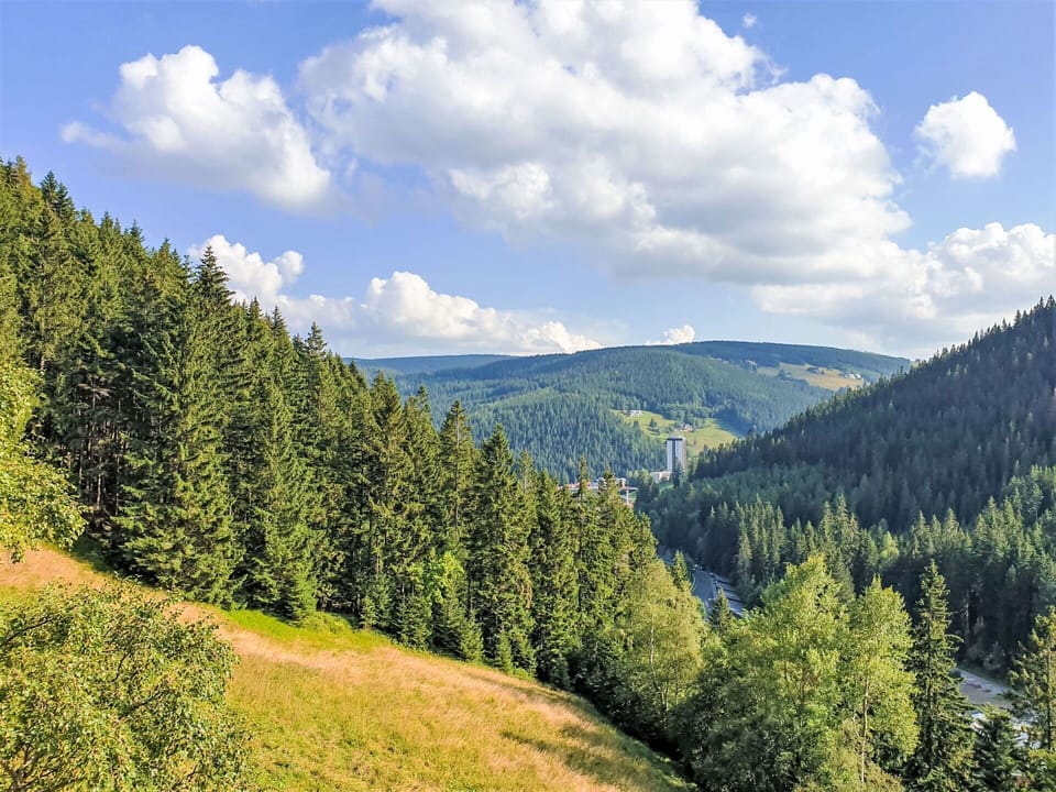 Mountainous Landforms, Tree, Mountain, Hill, Forest, Wilderness, Highland, Natural Landscape, Hill Station