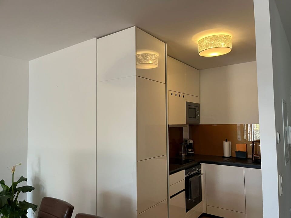 Furniture, Building, Plant, Cabinetry, Interior Design, Floor, Flooring, Houseplant, House, Wood