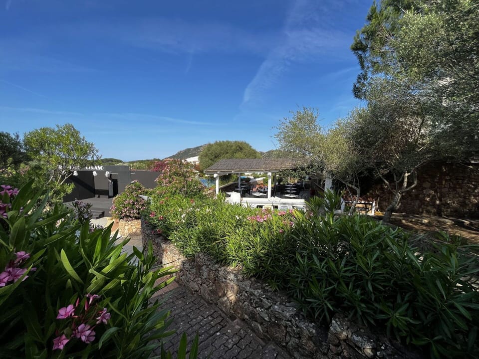 Sky, Plant, Cloud, Flower, Natural Landscape, Tree, House, Landscape, Groundcover, Rural Area