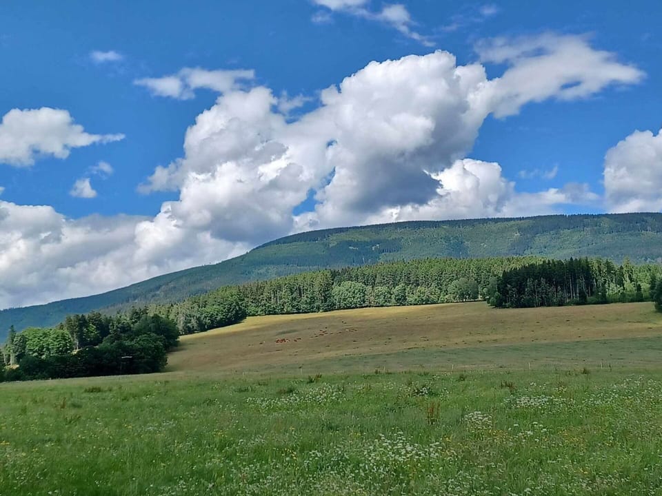 Cloud, Sky, Plant, Natural Landscape, Mountain, Land Lot, Highland, Cumulus, Tree, Grass