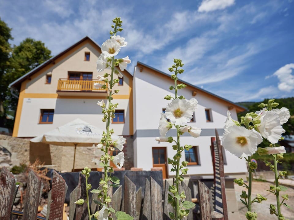 Sky, Cloud, Flower, Plant, Building, Window, Land Lot, House, Tree, Rural Area
