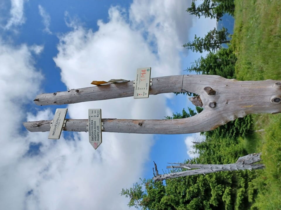 Cloud, Sky, Plant, Water, Branch, Tree, Wood, Trunk, Biome, Cumulus