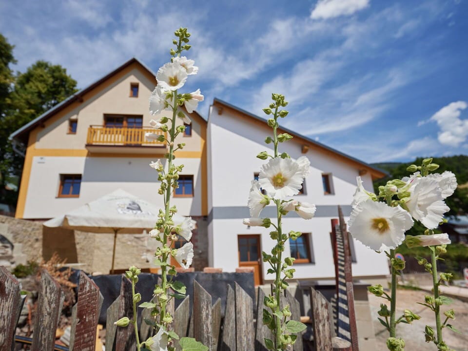 Flower, Sky, Cloud, Plant, Building, Window, House, Land Lot, Residential Area, Rural Area