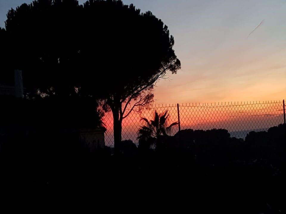 Sky, Atmosphere, Cloud, Dusk, Afterglow, Atmospheric Phenomenon, Tree, Sunset, Arecales, Sunrise