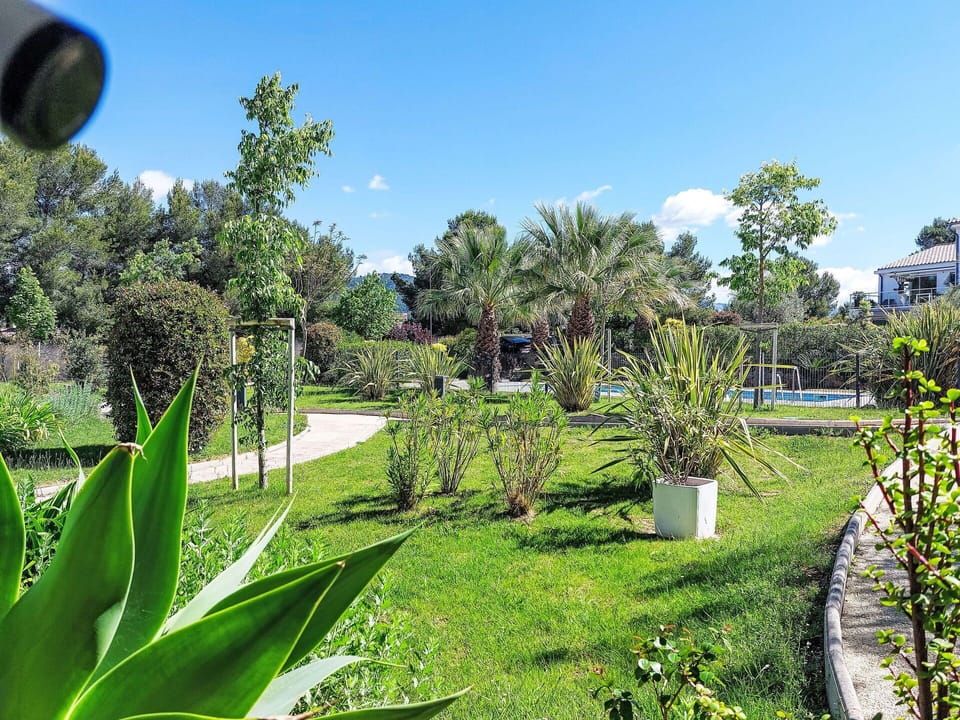 Tree, Green, Vegetation, Shrub, Garden, Woody Plant, Lawn, Landscaping