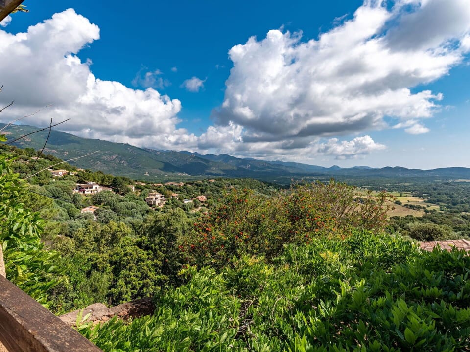 Cloud, Sky, Plant Community, Plant, Mountain, Natural Landscape, Natural Environment, Highland, Cumulus, Grass