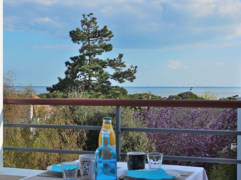 Sky, Table, Cloud, Tableware, Plant, Furniture, Azure, Chair, Fence, Tree
