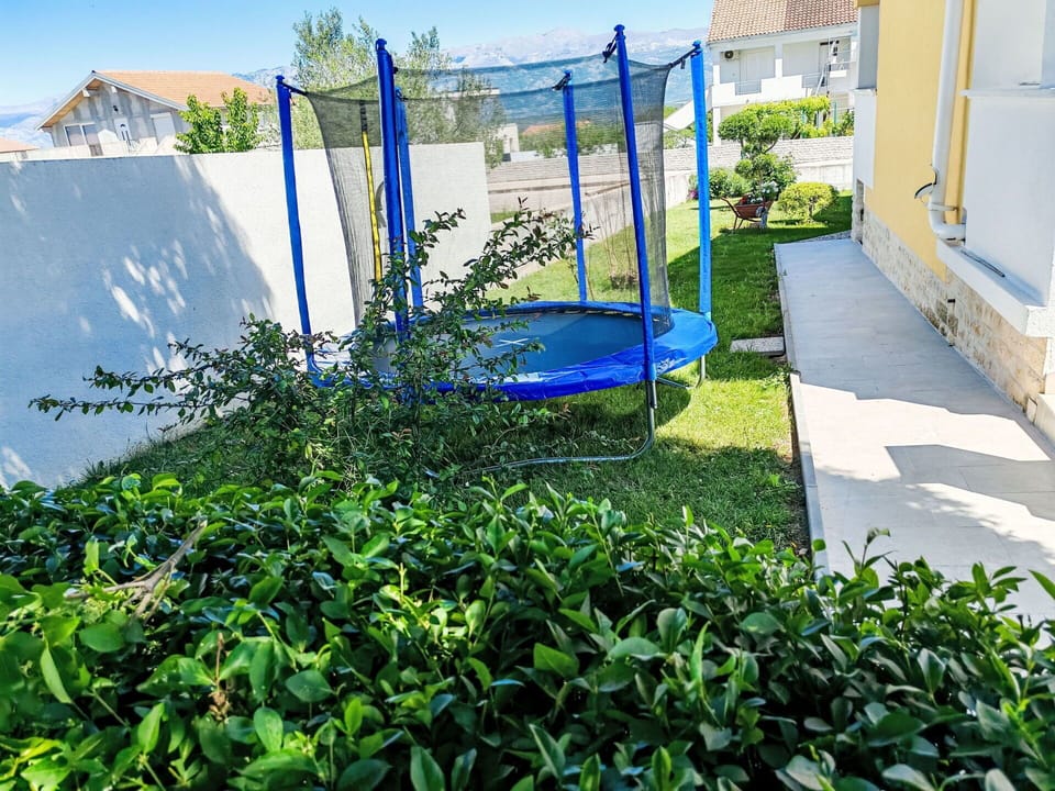 Blue, Shrub, Garden, Shade, Landscaping, Lawn, Leisure, Yard, Backyard, Swimming Pool